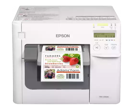 Frontal etiquetadora EPSON ColorWorks C3500